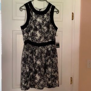 XL but fits more like L NWT Kenzie dress